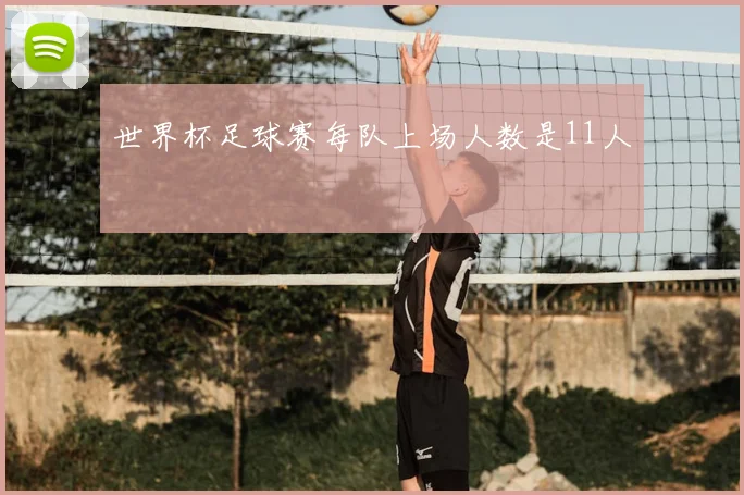 世界杯足球赛每队上场人数是11人
