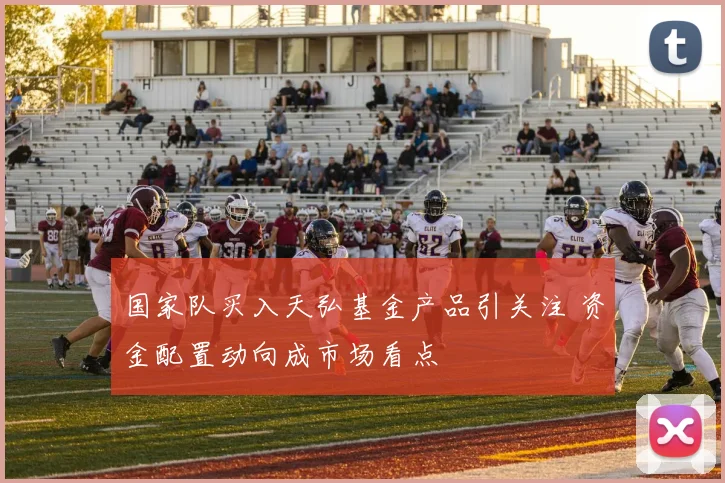 国家队买入天弘基金产品引关注 资金配置动向成市场看点