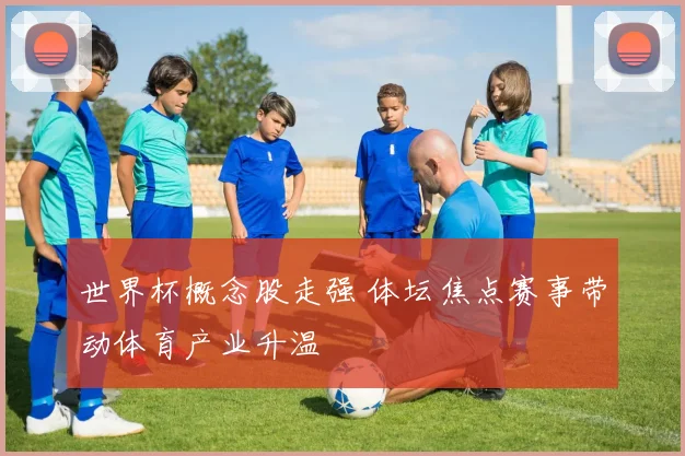 世界杯概念股走强 体坛焦点赛事带动体育产业升温