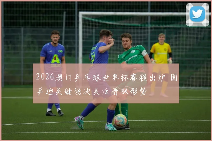 2026澳门乒乓球世界杯赛程出炉 国乒迎关键场次关注晋级形势